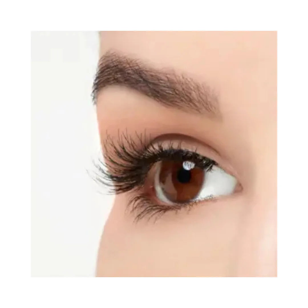 DUO X ARDELL Deluxe Pack #120 Demi Black