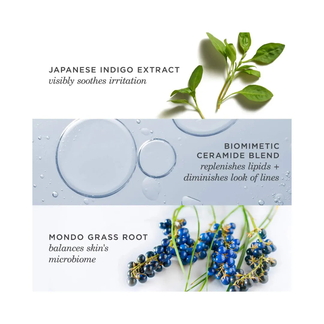 TATCHA Indigo Overnight Repair