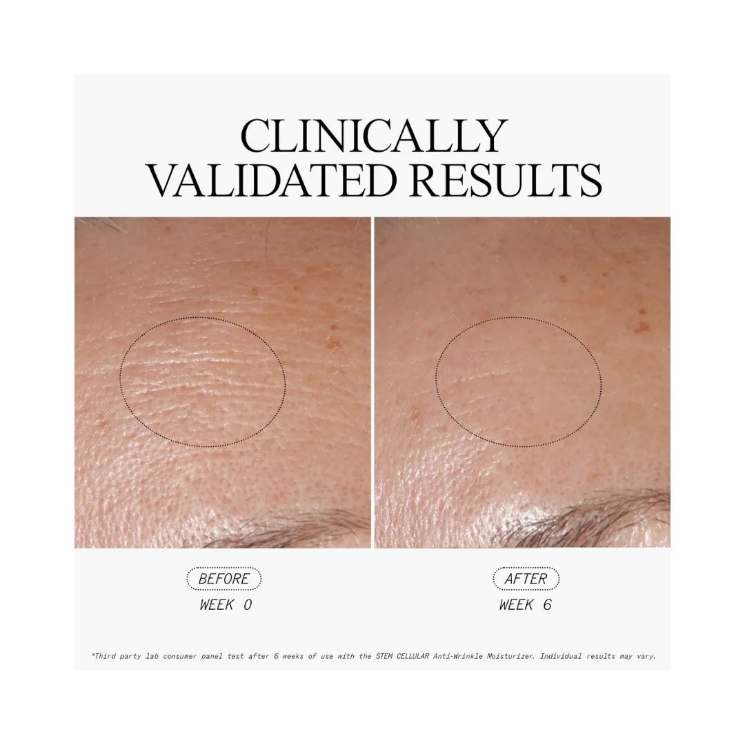 JUICE BEAUTY Stem Cellular Anti-Wrinkle Moisturizer