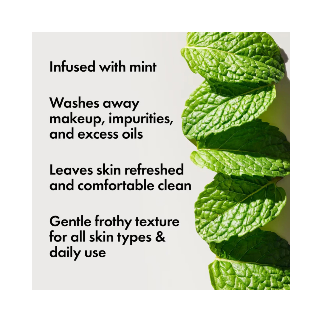 ORIGINS Checks and Balances Frothy Face Wash