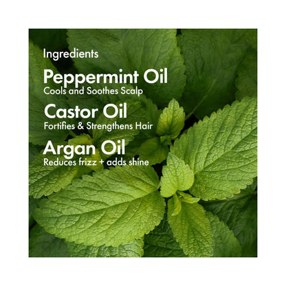 BONDIBOOST Elixir Hair Oil Pre-Shampoo Treatment with Castor Oil