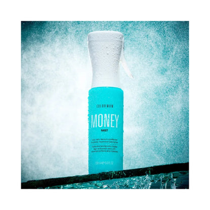 COLOR WOW Money Mist Leave In Conditioner