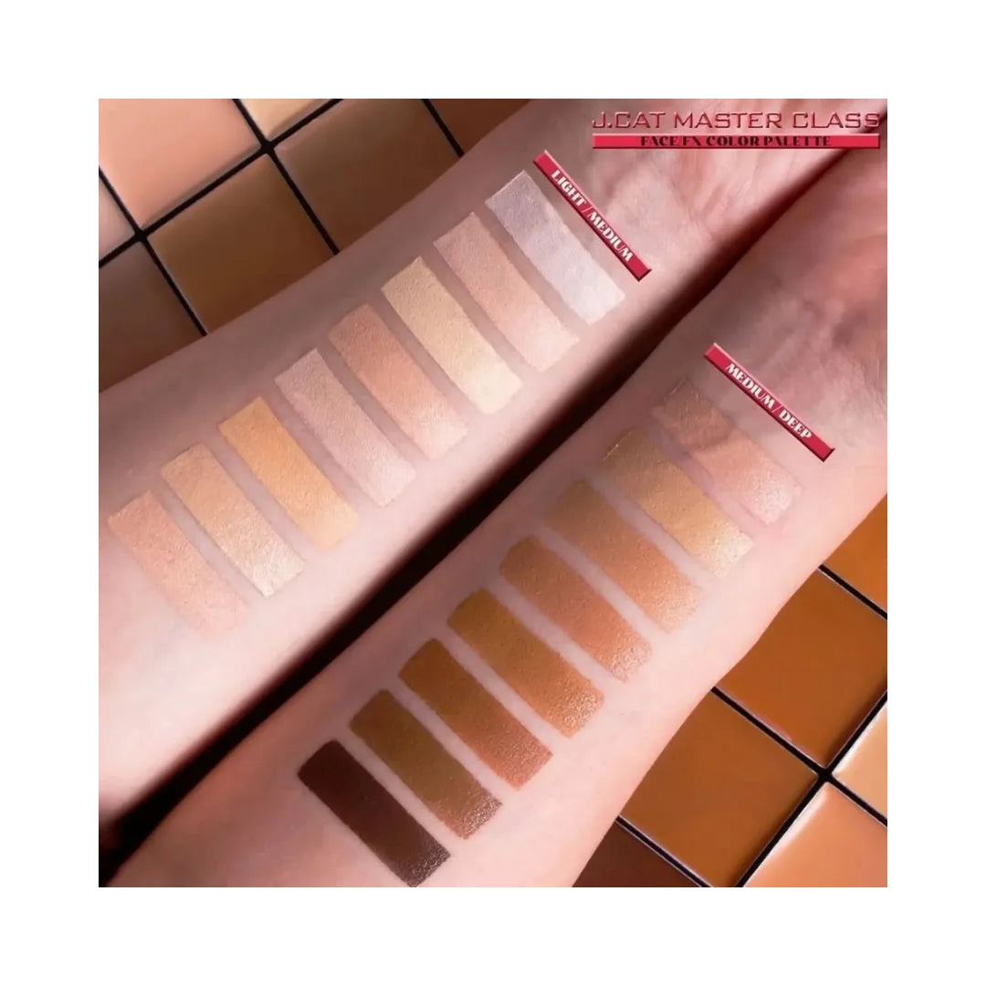 J.CAT BEAUTY Master Class Face/FX Color Palette & Pro Makeup Tool Kit