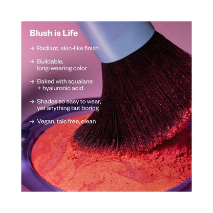 KOSAS Comfy Glam Set