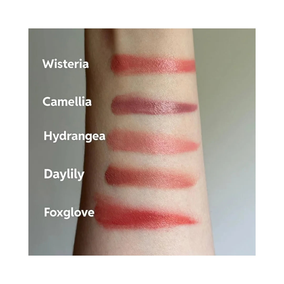 ROSE INC Limited Edition All Day Radiance Set