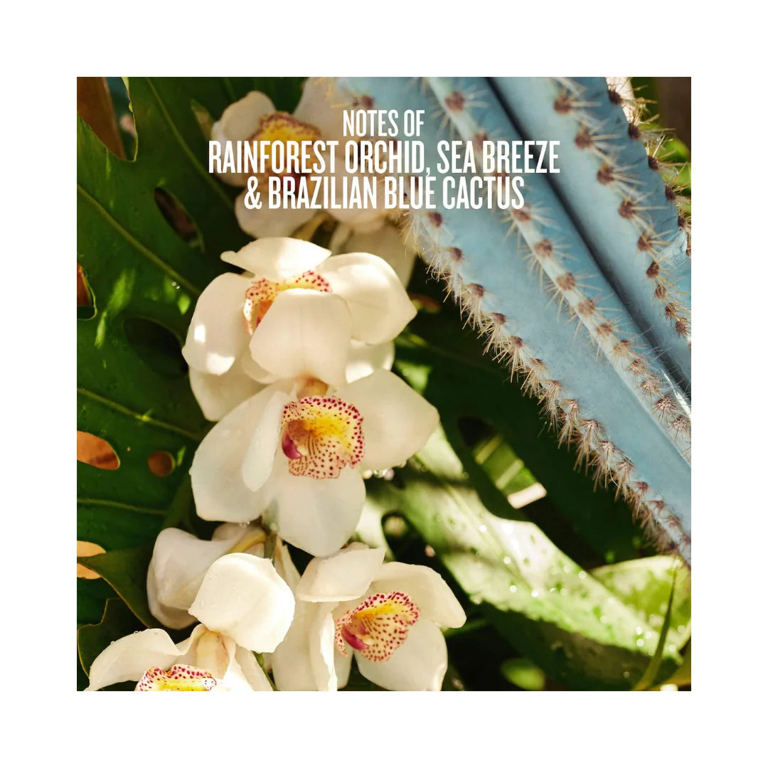 SOL DE JANEIRO Refresco Paraíso Fresh Watery Floral Body Mist